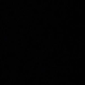 Meet your Posher, Junive